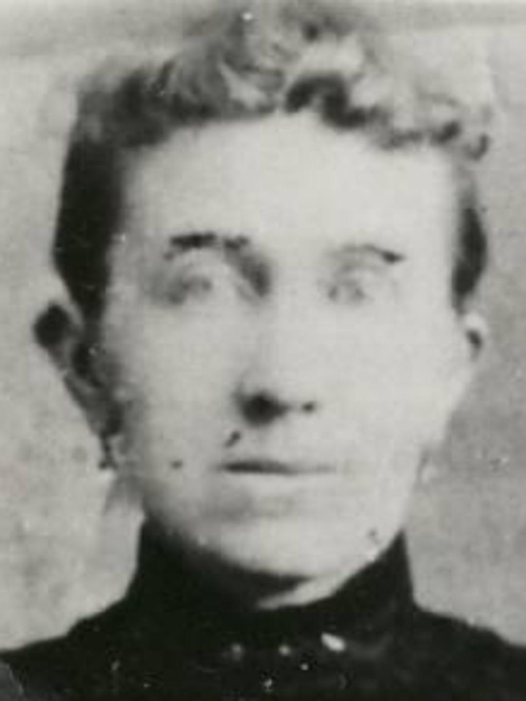 Emily Mercy Jones (1857 - 1940) Profile